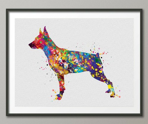 Miniature pinscher watercolor - miniature,