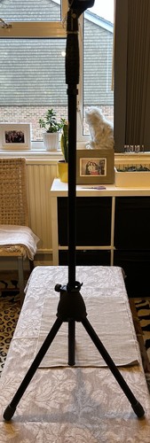 Tiger microphone stand with - microphone,