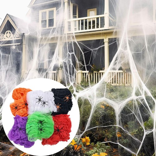 Halloween spider web - halloween,