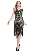 Gatsby Costume 1920's Cocktail Party Sequin Fringe Flapper V- Neck Short Dress