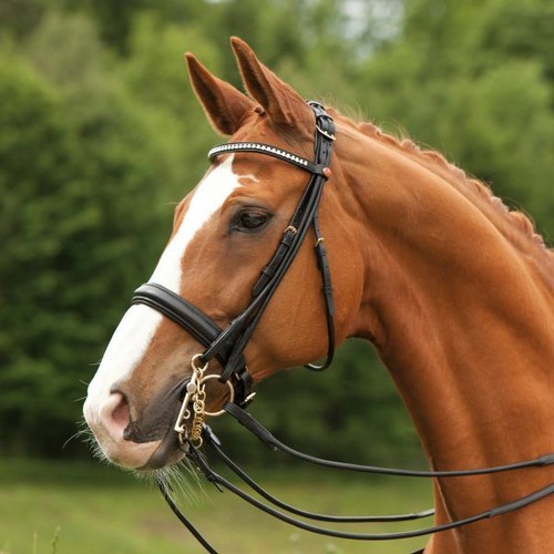 Kieffer curb bridle sylvie - kieffer,