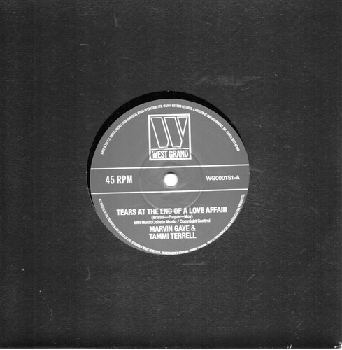 Marvin gaye tammi terrell - gaye,