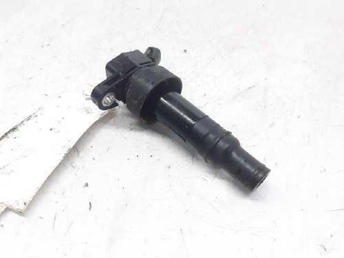 273012b100 ignition coil - 273012b100,
