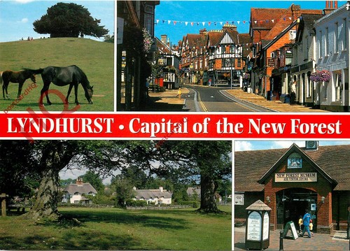 Picture postcard lyndhurst - picture, postcard:;lyndhurst