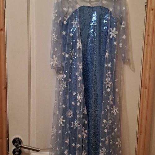 Blue princess dress costume - ,