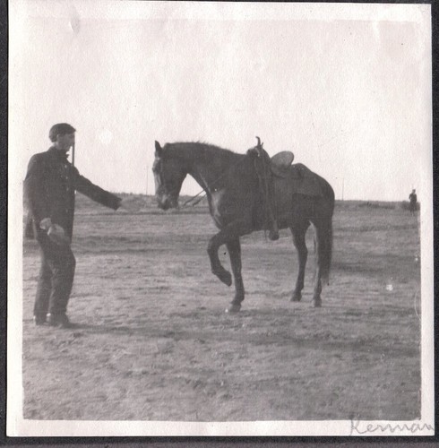 Vintage photograph men horse - photograph,