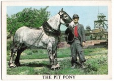 ANGLO AMERICAN GUM TRADE CARD