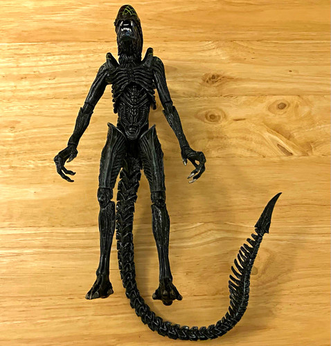 Neca alien predator grid - alien, vs