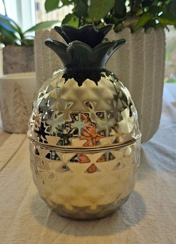 Pineapple ceramic storage - pineapple,