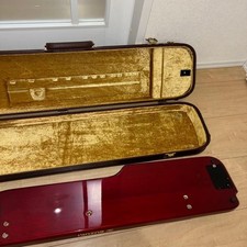 Suzuki Ran Electric Taishogoto