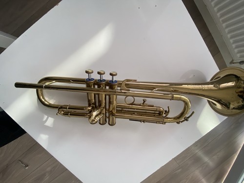 Trumpet corton foreign with - foreign,