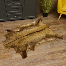 Chamois Fur Animal Skin