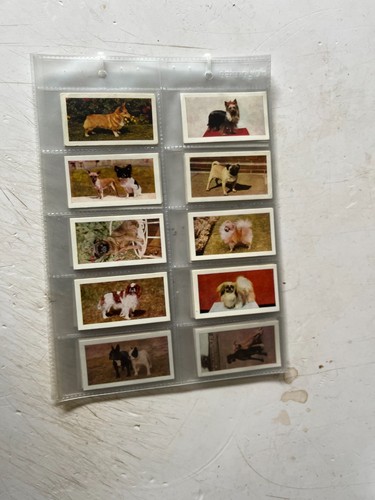 Hornimans tea cards - hornimans, (dogs)