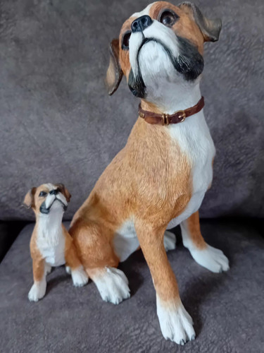 Charming mother boxer dog - dog, and