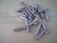 10x  Hardwood AMERICAN BLACK