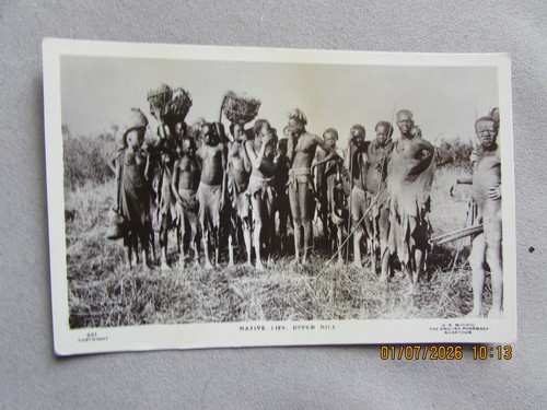 Egypt sudan native - sudan, life