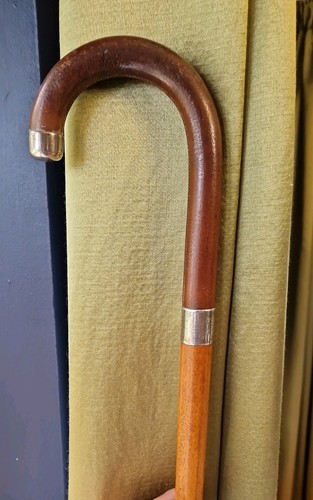 Antique walking stick - antique,