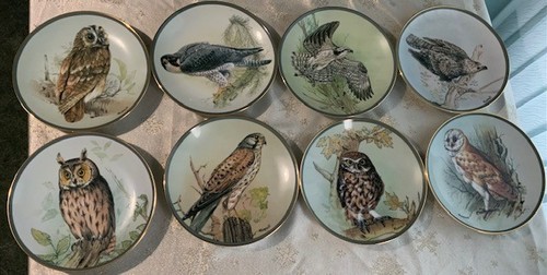 Majestic british birds - of, prey