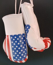 USA Flag Pair Of Mini Boxing