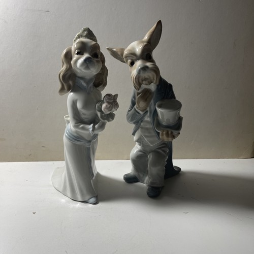 Nao lady tramp - &, wedding