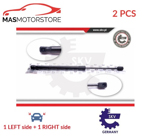 Tailgate boot struts set - tailgate,