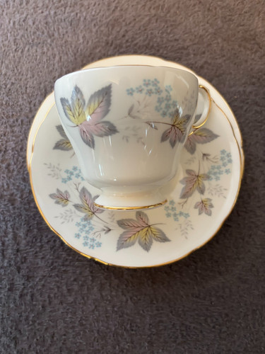 Paragon bone china - paragon, “