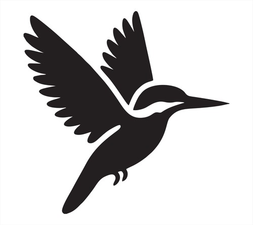 Kingfisher bird vinyl - bird, decal