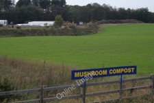 Photo 6x4 mushroom compost - photo,