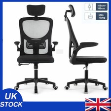 Ergonomics Mesh Back Office
