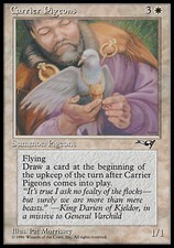 Carrier pigeons - carrier,