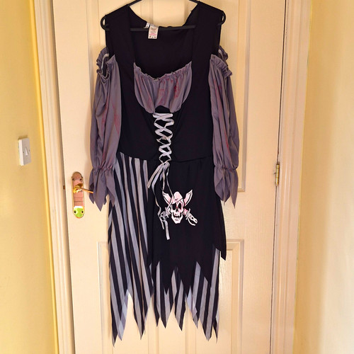 Wicked costumes ladies - ladies, pirate