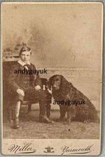 CABINET CARD FLAT COATED RETRIEVER DOG MILLER YARMOUTH ANIMAL ANTIQUE PHOTO