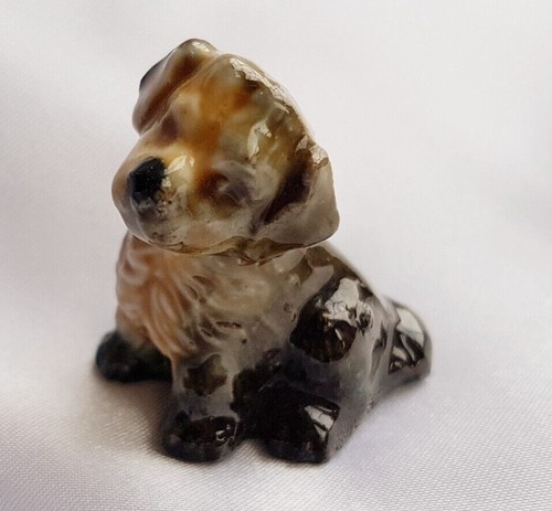 Mongrel dog wade - dog, ~