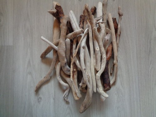 Pieces driftwood - of,