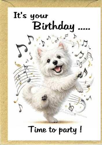 West highland white terrier - highland,