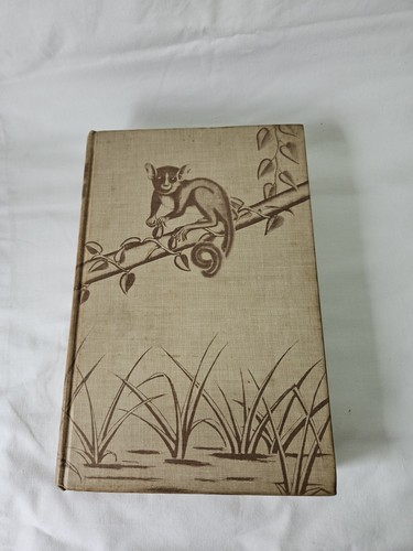 Sanderson animal treasure - animal,