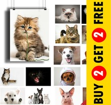 Animals pet friends cute dog - friends, &