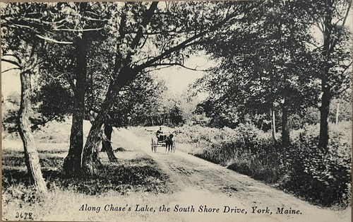 York maine chases - york, horse