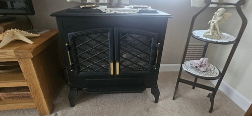 Burley electic fire - electic,