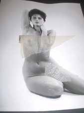 1960's original  SOPHIA DAWN  glamour HARRISON MARKS model photograph  10 x 8