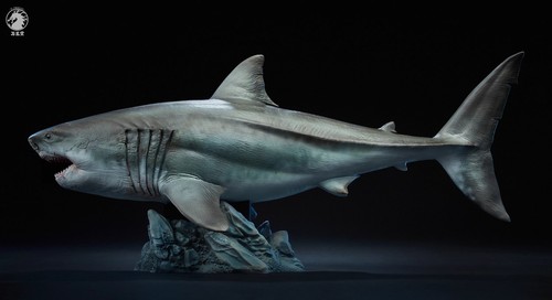 Stock dragon 35 megalodon - 1/35,