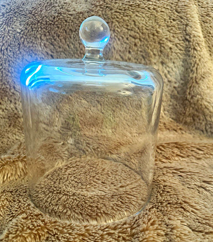 Clear glass dome - clear,