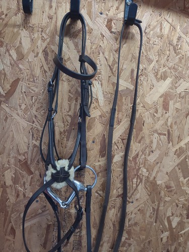 English leather grackle - ,