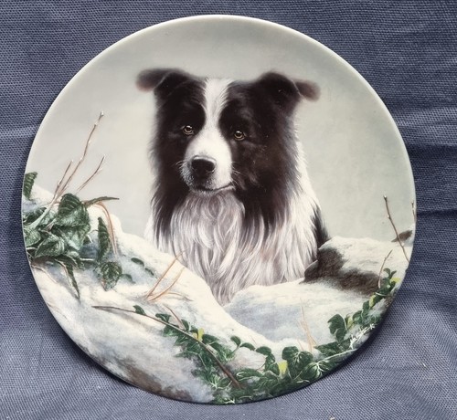 Danbury mint border collie - danbury,