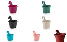 Small hanging planter - hanging, plant