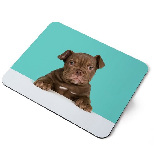 Mouse mat pad cute old - mouse,
