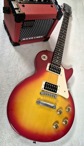 Epiphone les paul 100 - 100, roland