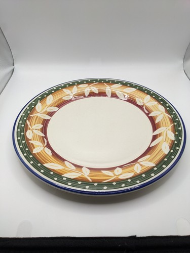 Staffordshire tableware - staffordshire,