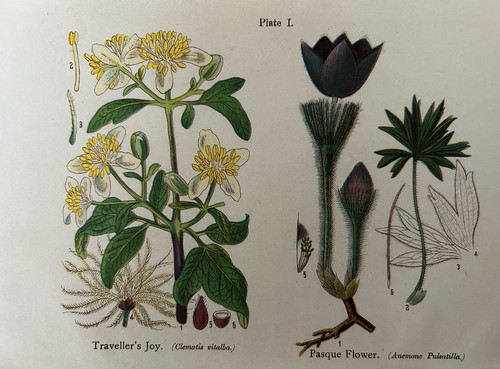 Antique print traveller - antique, traveller’s
