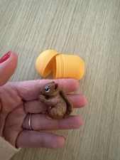 Squirrel Kinder Egg Surprise